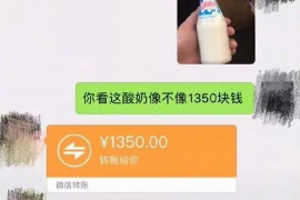 湛河专业要账公司